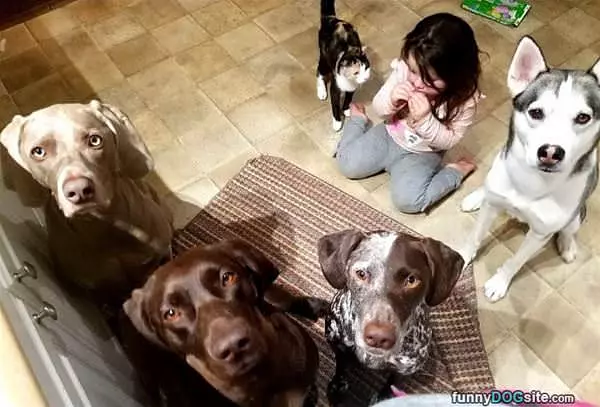 Our Whole Gang