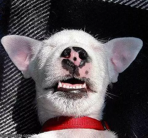 Sleep Where I Want