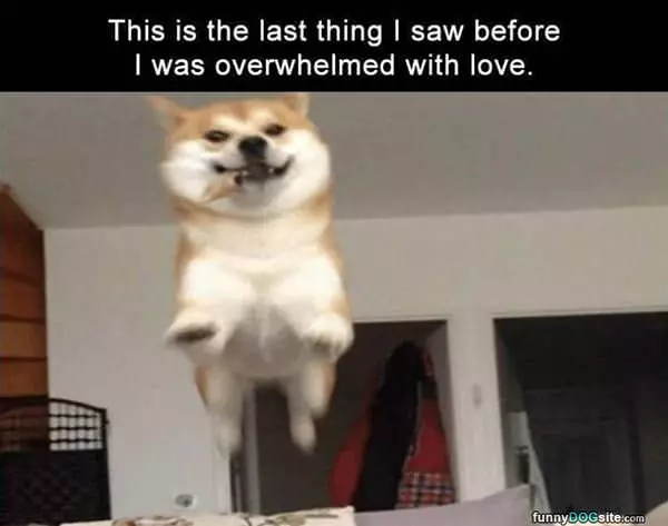 Here Comes Love