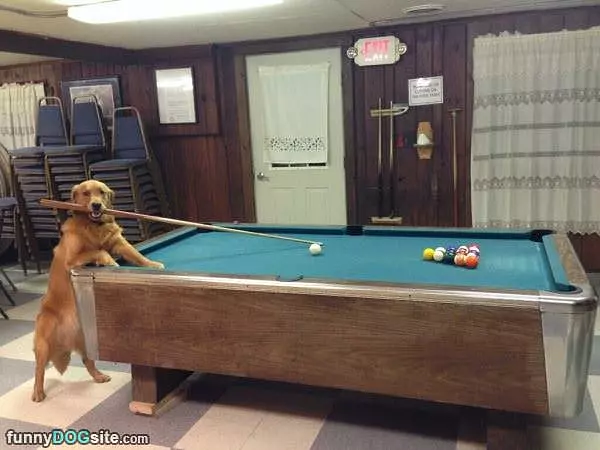 Playing Some Pool