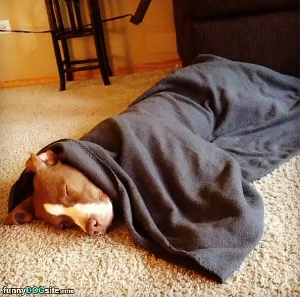 All Tucked In Here