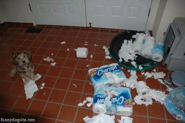 I Loves Charmin