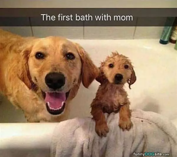 First Bath With My Mom