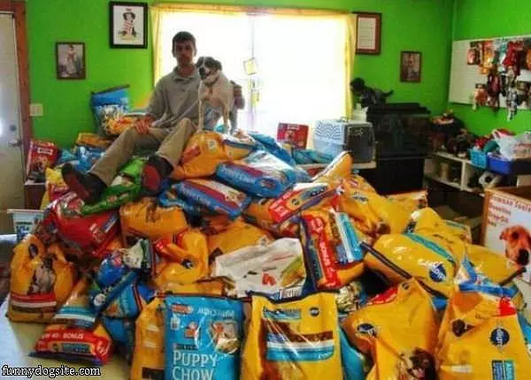 Not A Hungry Dog