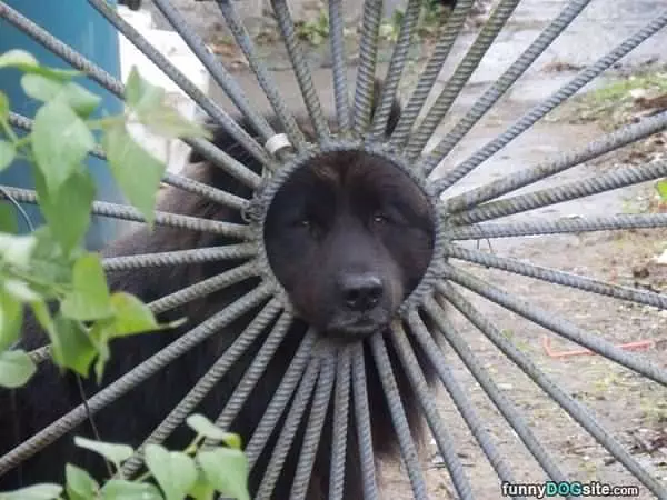 My Lookout Post