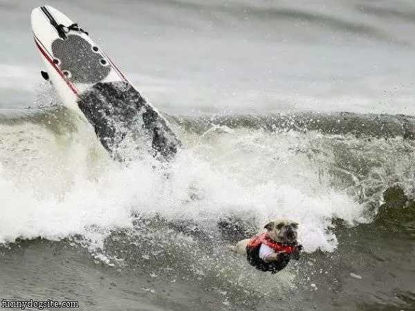 Waves Too Big