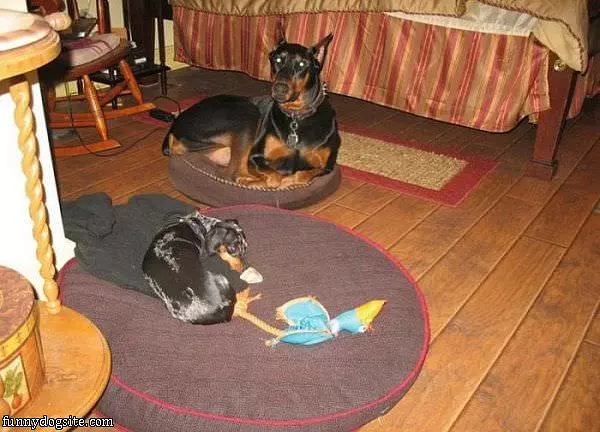 Big And Little