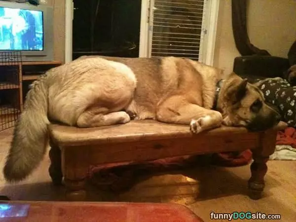 Such A Little Table