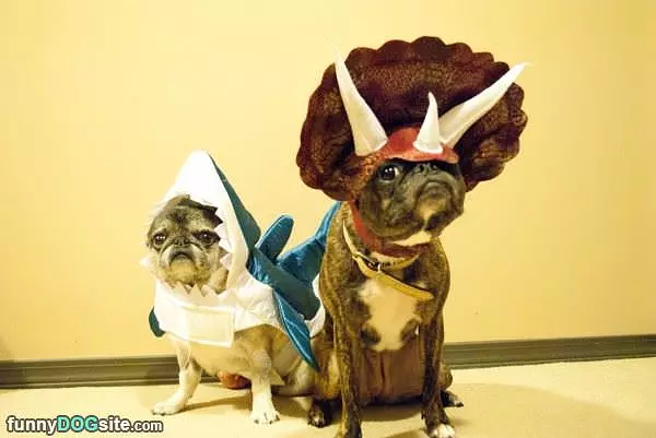 Sushi And Mocha
