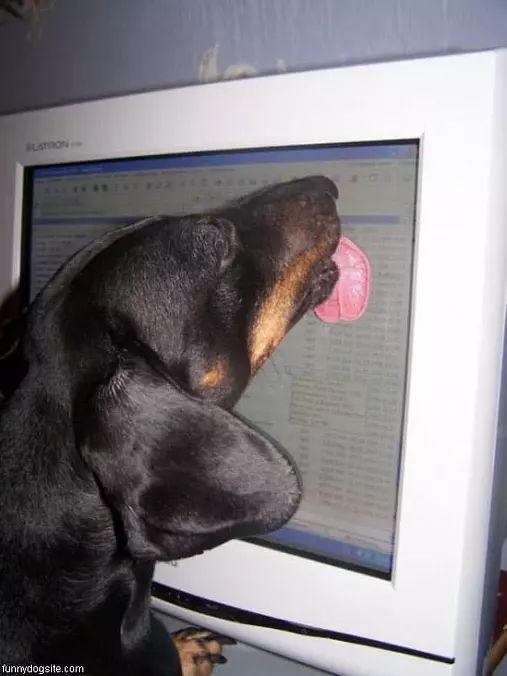 Loves This Website