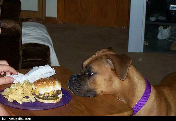He Wants