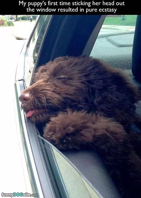 Head Out The Window