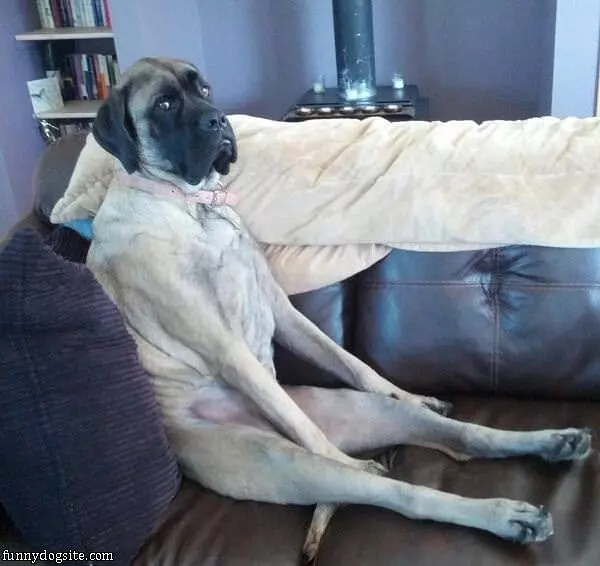 Just Relaxing Here
