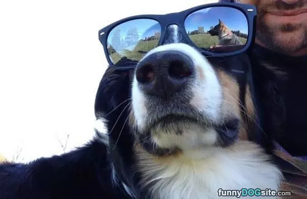 Nice Glasses