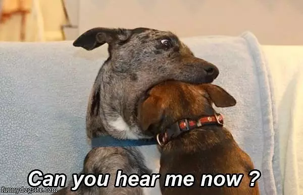 Can You Here Me Now