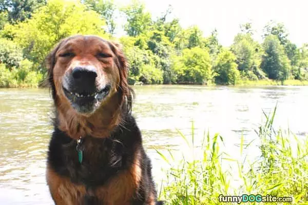 So Smiley