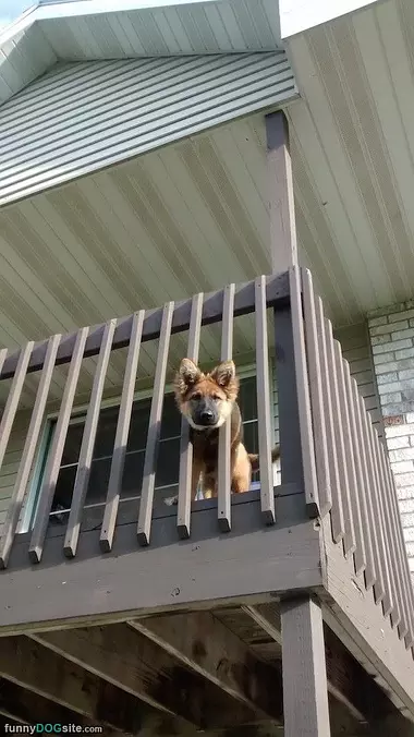 Hey You I See You