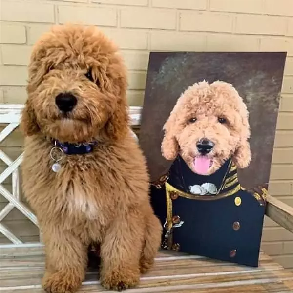 Nice Artwork