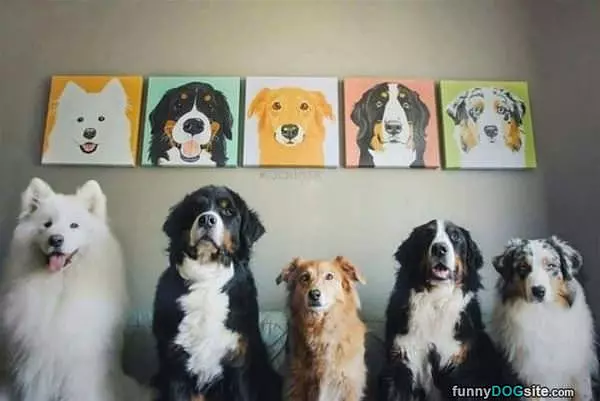 Good Dogs