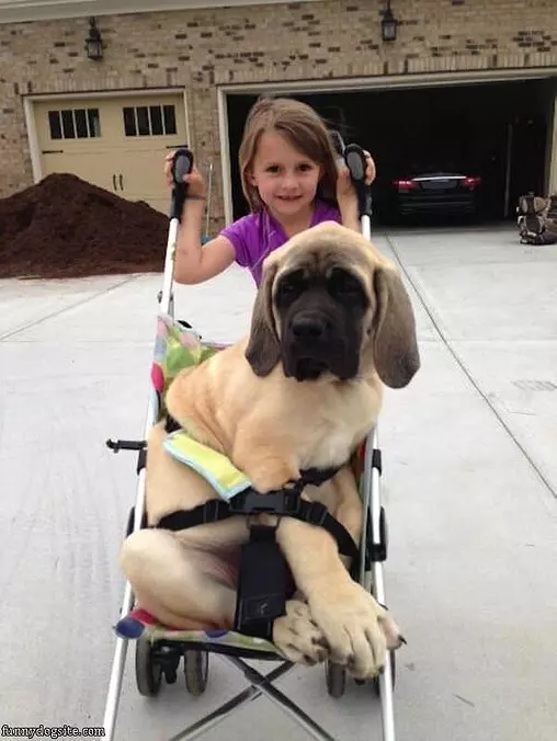 Going For A Walk