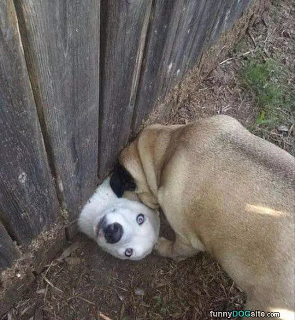 Hey There