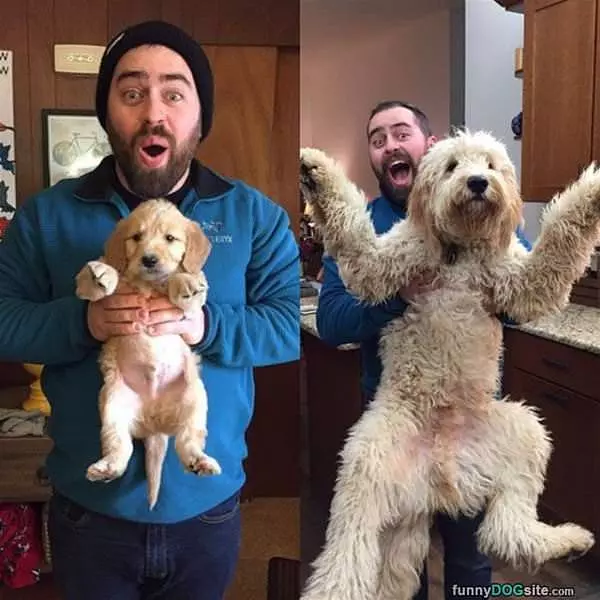They Grow Up So Fast