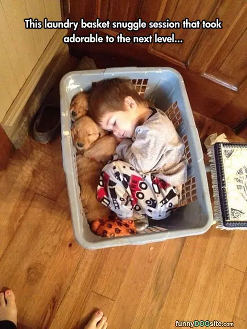 Laundry Basket Snuggle Session