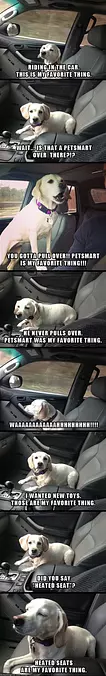 Favorite Things