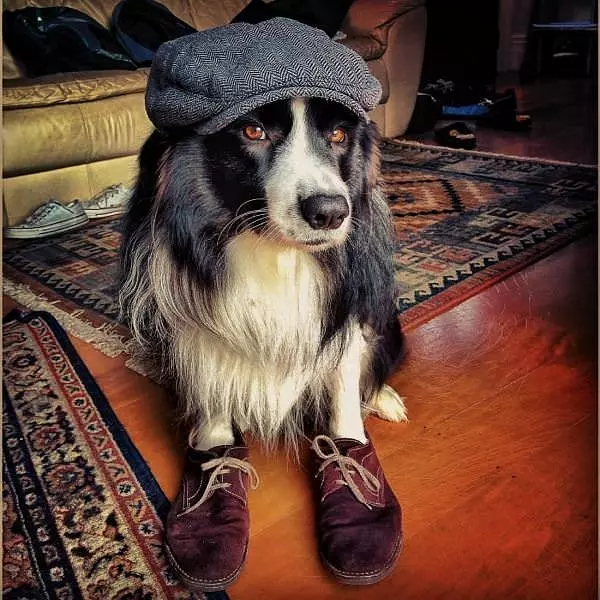 My Hipster Outfit