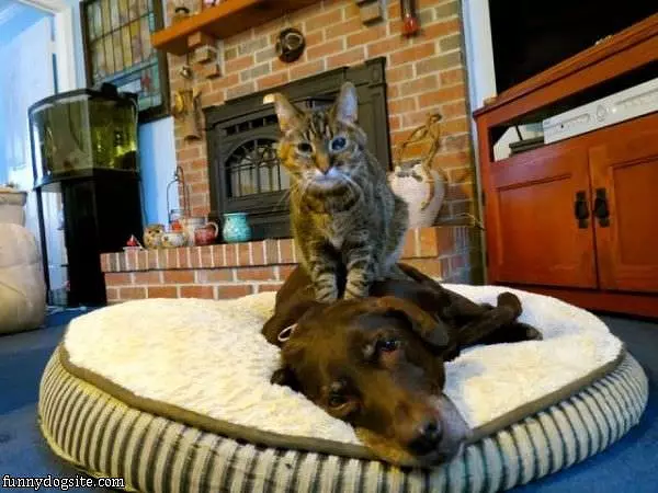 Getting A Massage