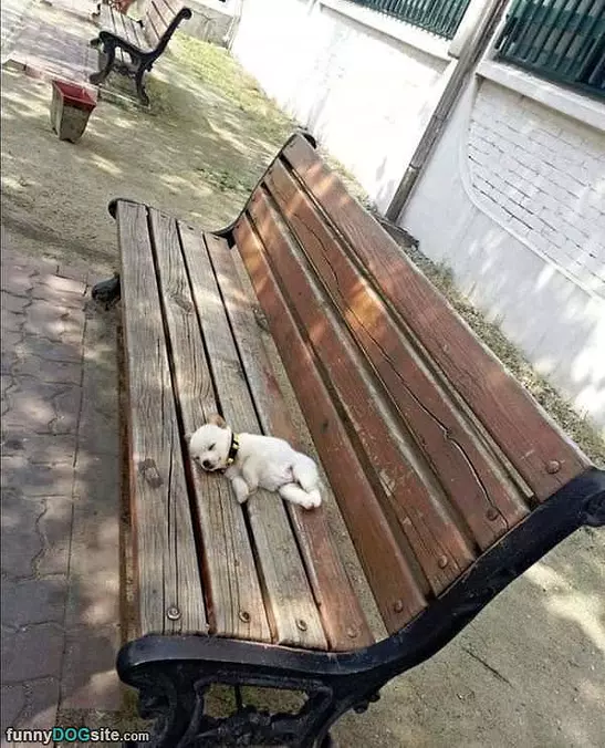 Relaxing At The Park