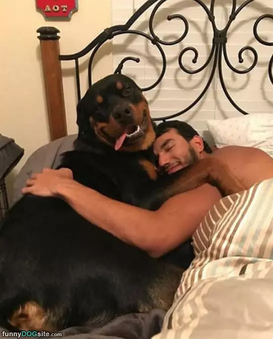 Cuddle Buddies
