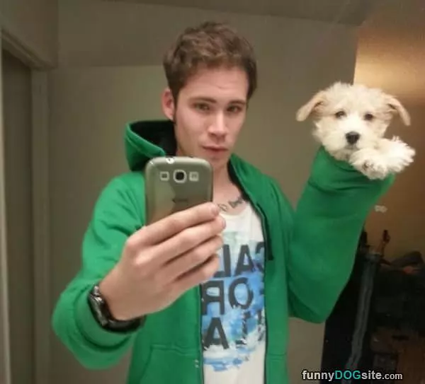 I Has A Puppet