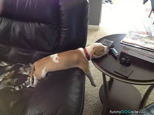 I Passed Out