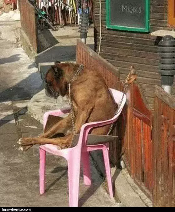 Just Sitting Around