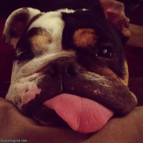 I Am Super Pooped