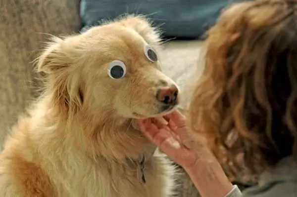 Crazy Eyes