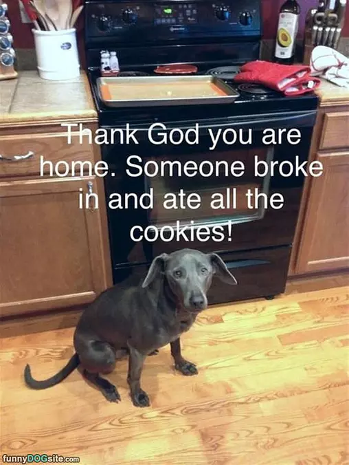 Someone Broke In