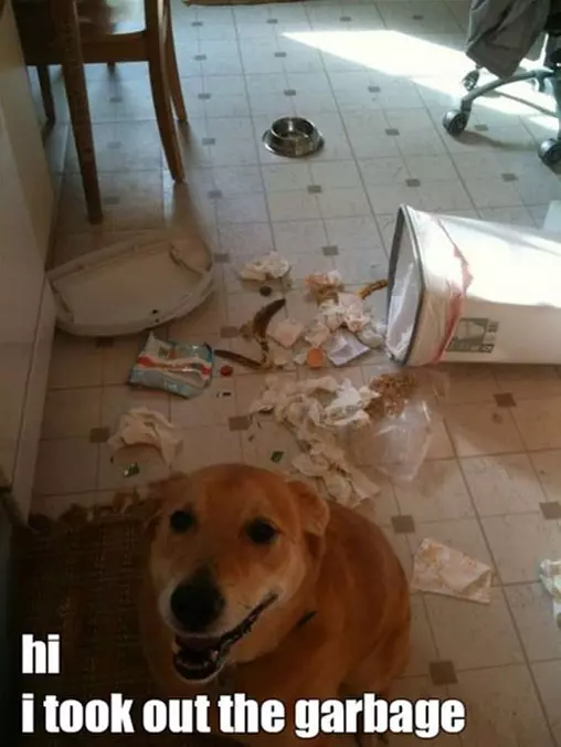 Took Out The Garbage