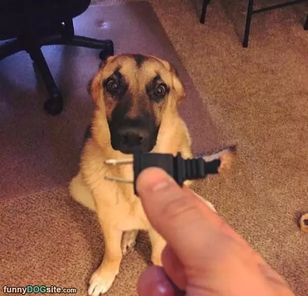 Did You Do This
