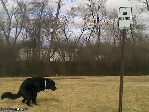 No Dumping