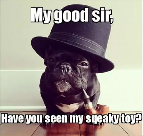 My Good Sir