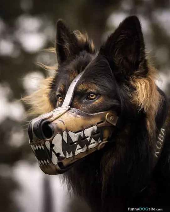 My Cool Mask