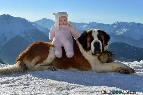 Nice Warm Seat
