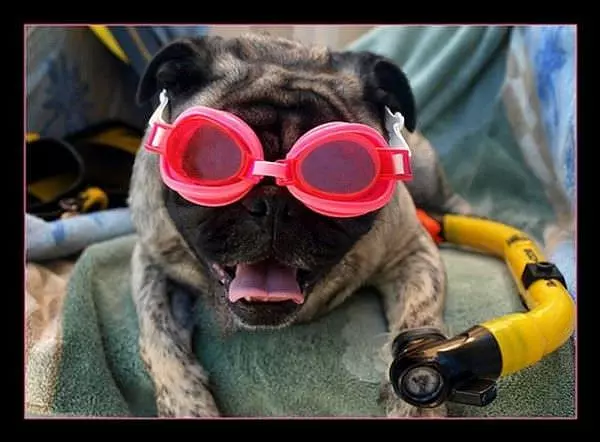 My Cool Glasses