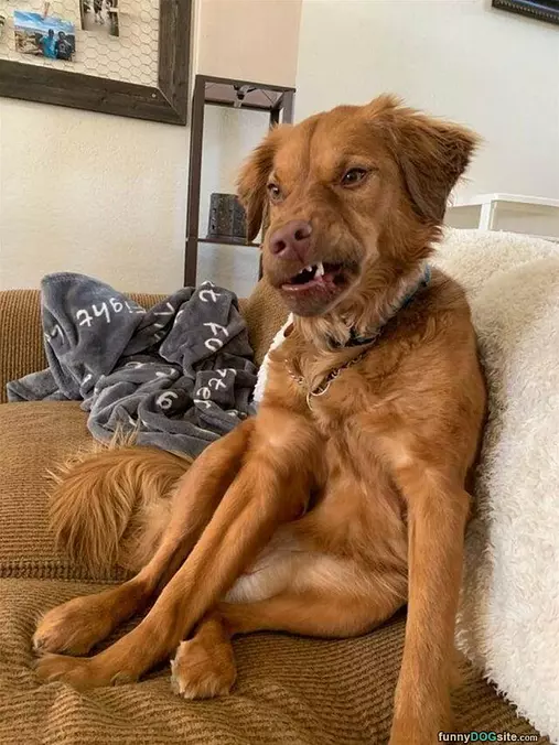 Grrrrrr