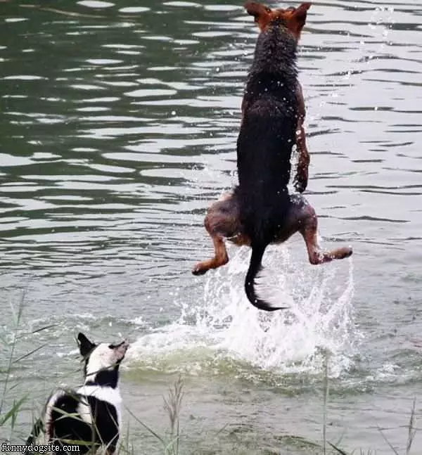 We Have Lift Off