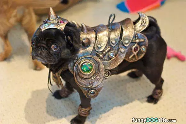 Ready For Battle