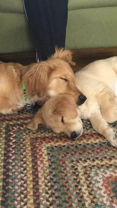 We Like To Sleep Together