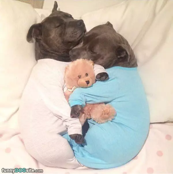 Cuddling